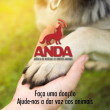 ANDA - Agência de Notícias dos Direitos Animais. Faça sua doação aqui.